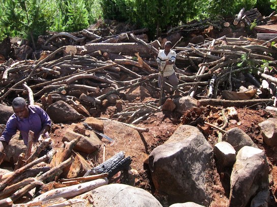 A graveyard of firewood - and this is by no means sufficient for the job coming