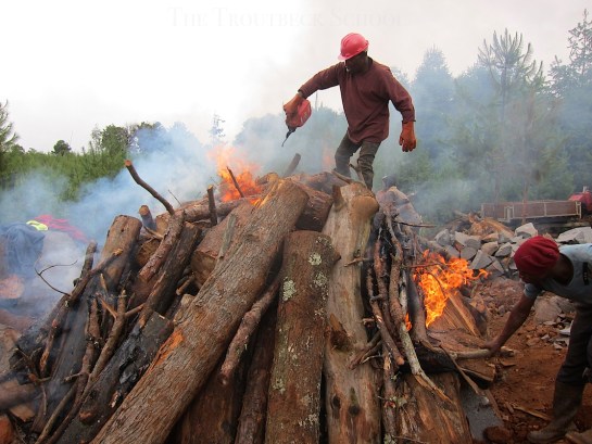 What can I say - who doesn't want to play at this!