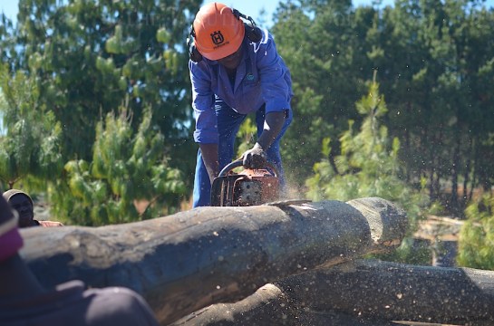 to chain saw - smoothing the knots
