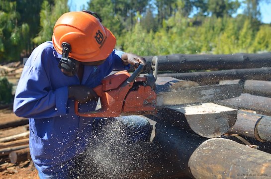 working on those lap joints with the chainsaw