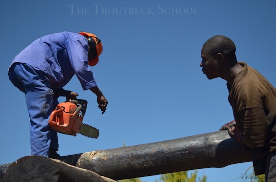 Now let's agree where you want me to cut!