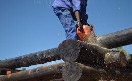 Building a real log cabin – part 2a – from bow saw to chain&nbsp;saw