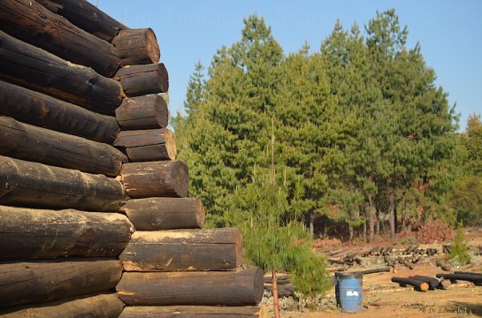 As far as we got the walls up