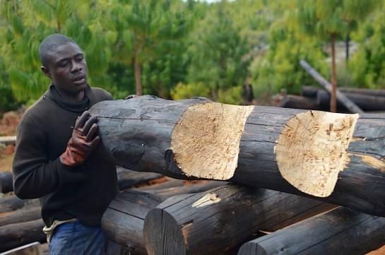 Notched beam going over the floor joists