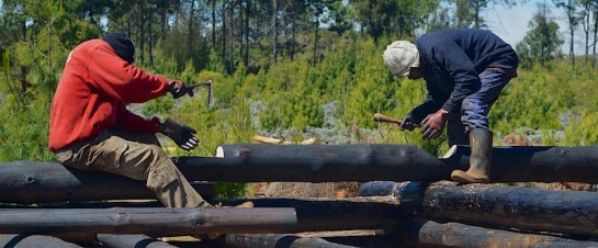 building a log cabin