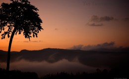 Evening 2 of lockdown&nbsp;Zimbabwe