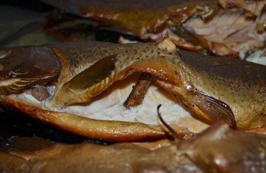 Baked smoked trout DSC_5348