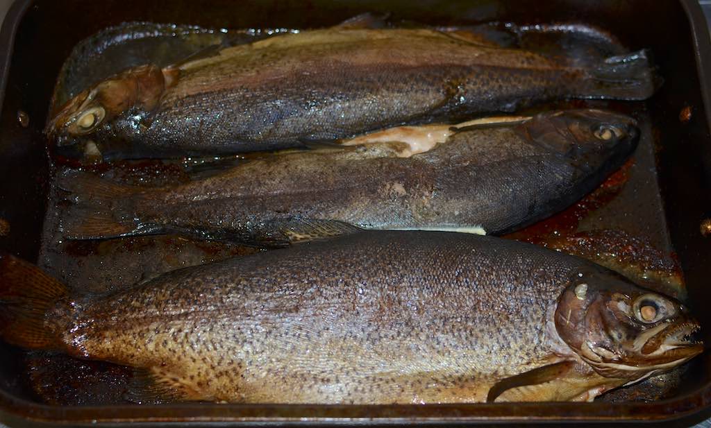 Baked smoked trout DSC_5351