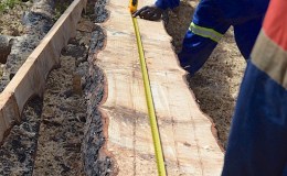 More saw milling 28 Dec&nbsp;20