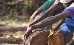 Saw milling with the Lucas mill – 27 Dec&nbsp;20