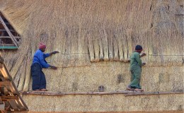 Post and Beam – Thatching a sea of&nbsp;grass