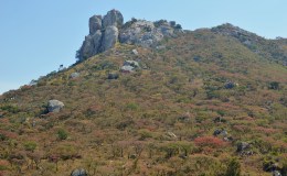 Troutbeck (School) to Nyanga to Troutbeck (School): there and back&nbsp;again.