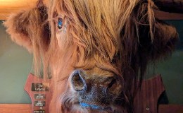 Storm Glider Goes North 8: Crinan (Crinan Boat Yard guest&nbsp;mooring)