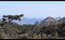 Troutbeck to Nyanga via National Park East of the&nbsp;road
