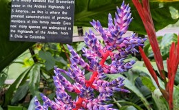 Glasgow’s miles better