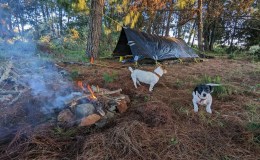 The Black Plastic Tarp Tent 2023 Part&nbsp;1