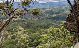 Boyakura Plateau and Tsanga B&nbsp;Hydro