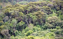 The Chirwe river valley&nbsp;escapade