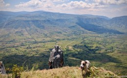 On the edge in&nbsp;Matema