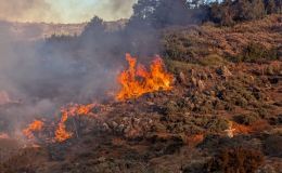 Bush fire – the big&nbsp;one