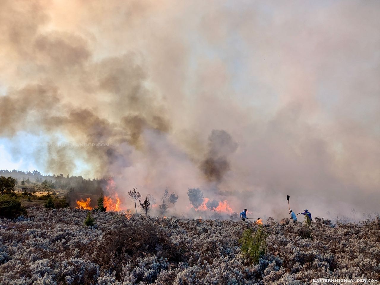 Bush fire – the big one | Eastern Highlander