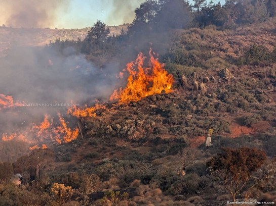 Bush fire – the big one | Eastern Highlander