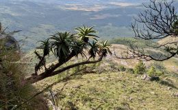 This one’s a big one: Troutbeck – Connemara – Nyanga –&nbsp;Troutbeck