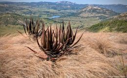 Nyamakanga Spine Walk – one of the best days of&nbsp;exploring!