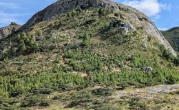 More salt less water: Nyanga up to Connemara to Troutbeck&nbsp;Stables